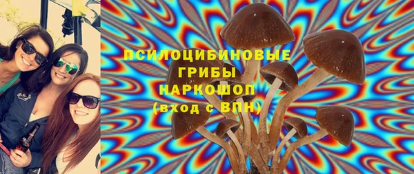 хмурый Балабаново